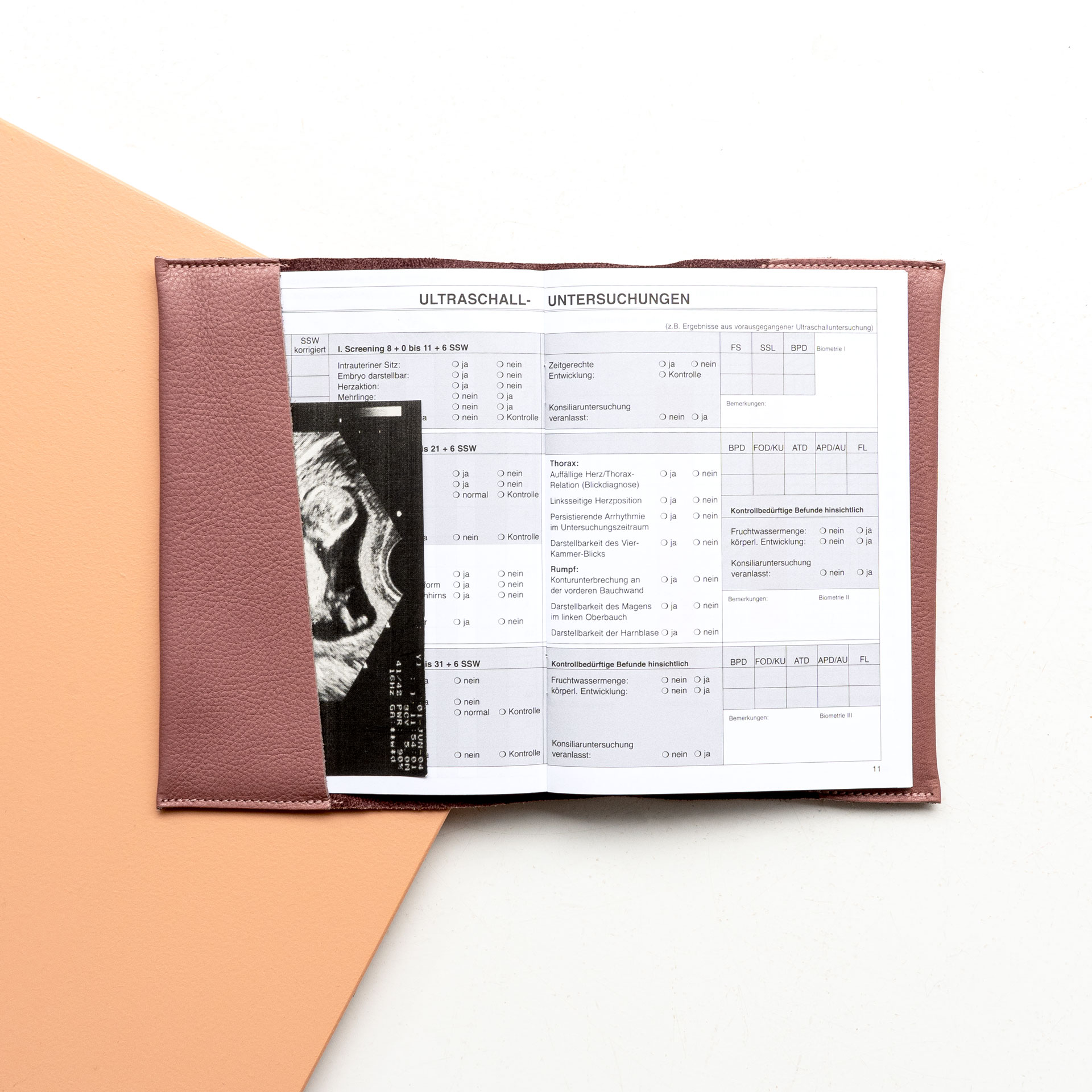 Innenansicht der Mutterpasshülle EVE aus Naturleder in Flieder mit Mutterpass und Ultraschallbild