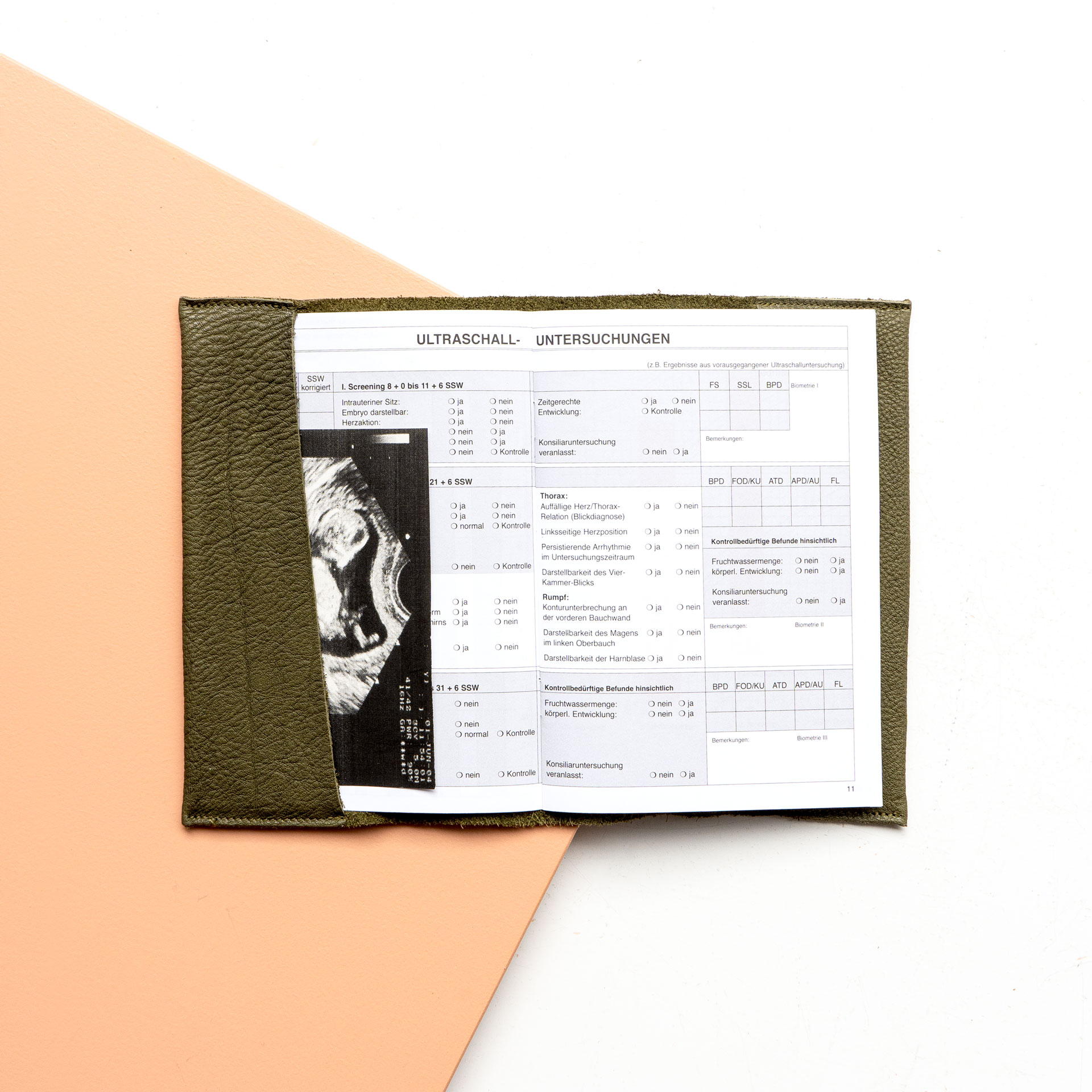 Innenansicht der Mutterpasshülle EVE aus Naturleder in Oliv mit Mutterpass und Ultraschallbild